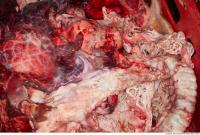 RAW meat pork viscera 0085